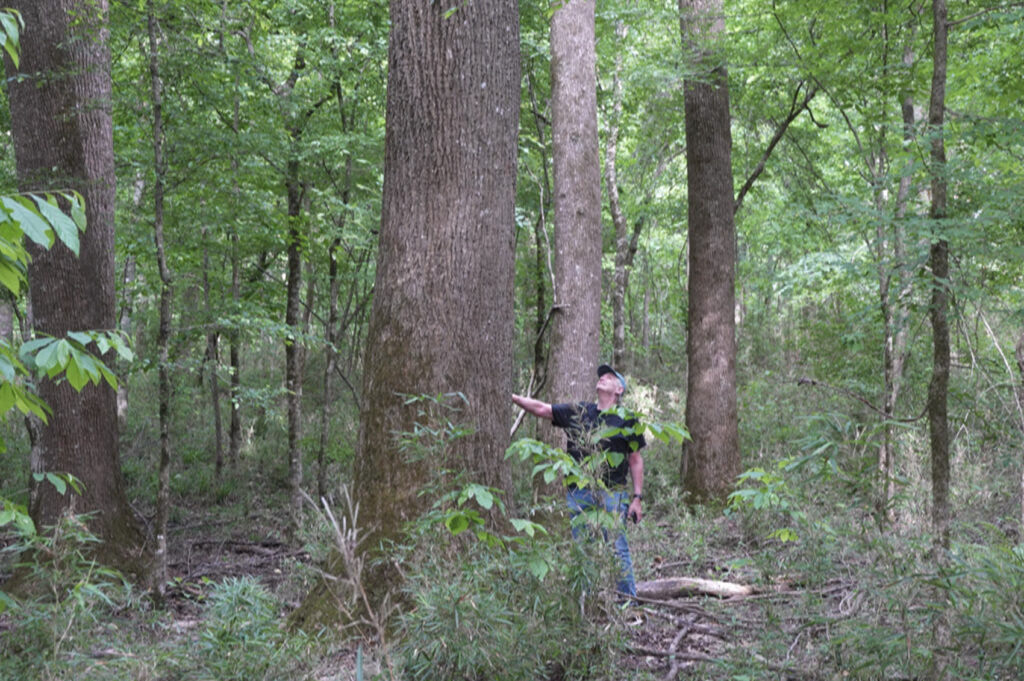 man in black shirt standing next to large tree