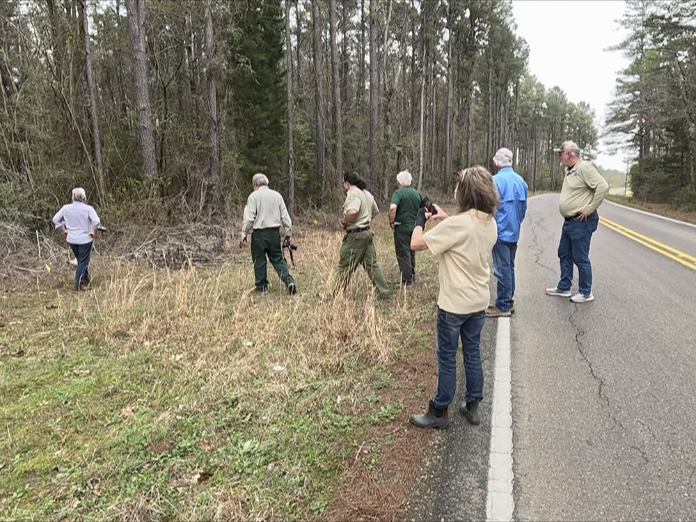 people standing along roadway looking at forest
