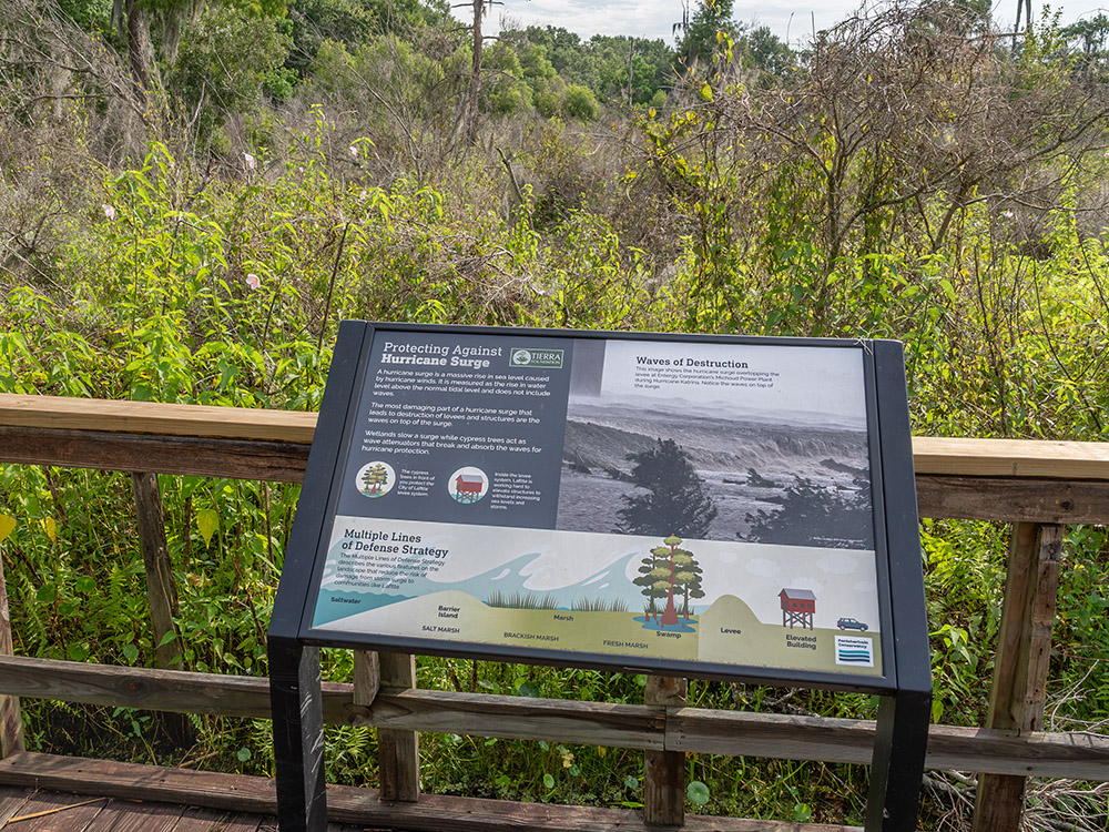 education sign about coastal hurricane impacts on swamp boardwalk trail