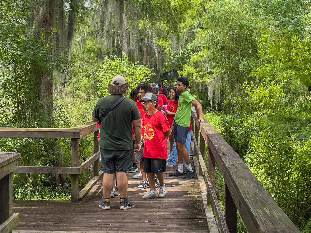 man in dark green shirt leads group of children in red t-shirts along swamp boardwalk trail