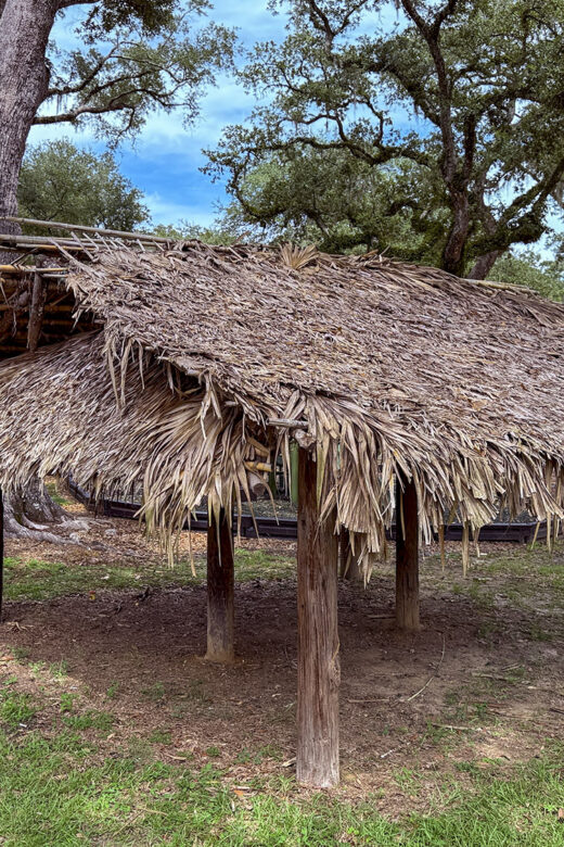 traditional choctaw pametto hut in Lacombe